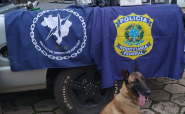 PRF apreende carga de R$ 20 milhões em cocaína na BR-480