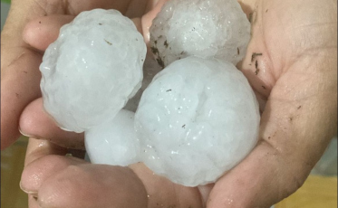 Chuva de “bolas” de granizo causa prejuízos na região Sul de SC (FOTOS e VÍDEOS)