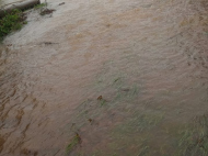 Foto: Divulgação/Prefeitura de Praia Grande 