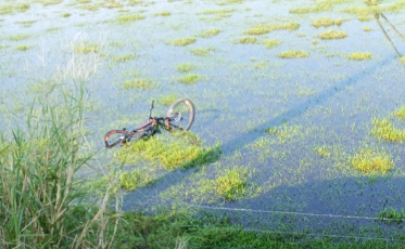 Ciclista morre em acidente ao ser atingido por veículo na SC-449