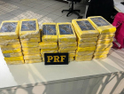PRF flagra mulheres com carga milionária de cocaína na BR-282