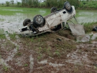 Forquilhinha: jovem sai da pista e capota caminhonete em granja de arroz (FOTOS e VÍDEO)