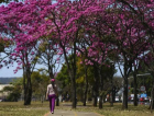 Primavera terá chuvas e temperaturas acima da média no Sul de SC