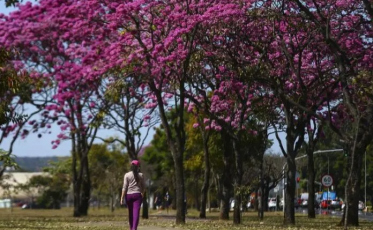 Primavera terá chuvas e temperaturas acima da média no Sul de SC
