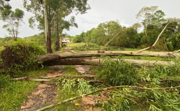 Defesa Civil de Criciúma já atendeu mais de 50 ocorrências relacionadas às chuvas