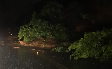 Deslizamento de terra interdita parcialmente a SC-108 (VÍDEO)