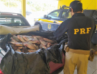Carga de peixe sendo transportada sem refrigeração é flagrada na BR-101
