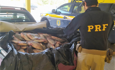 Carga de peixe sendo transportada sem refrigeração é flagrada na BR-101