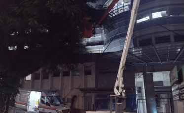 Criciúma: Bombeiros e Defesa Civil retiram abelhas de árvore no Hospital São José