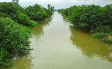 Comitê do Rio Urussanga clama por maior mobilização em prol da preservação das águas