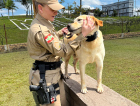 Criciúma: pela primeira vez, uma policial feminina compõe o Canil do 9º BPM