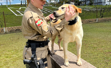 Criciúma: pela primeira vez, uma policial feminina compõe o Canil do 9º BPM