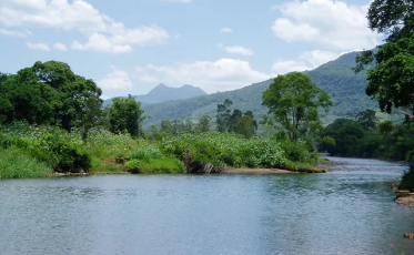 Mulher é resgatada após ficar presa em árvore contra correnteza do Rio Mampituba