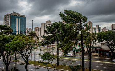Ventos fortes atingem Santa Catarina e rajadas chegam a 80 km/h