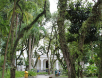 Bolo de 146 quilos marca aniversário da colonização de Criciúma