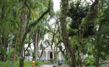Bolo de 146 quilos marca aniversário da colonização de Criciúma