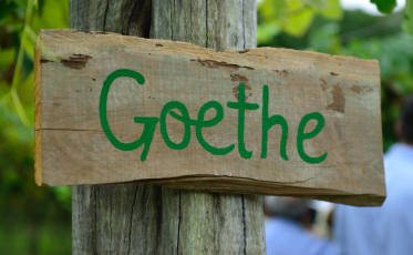 Entre fé, vinho e cultura, Vindima Goethe celebra identidade regional