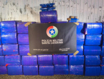 842 kg de maconha: apreensão chama atenção em Araranguá