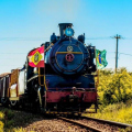 Viagem de trem mistura história, música e sabores no Sul de SC