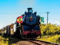 Viagem de trem mistura história, música e sabores no Sul de SC