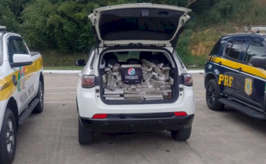 Santa Catarina registra mais de 17,6 toneladas de maconha apreendidas nas rodovias em 2025