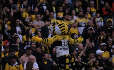 Criciúma x Brusque: em casa, Tigre briga pela melhor campanha do Catarinense