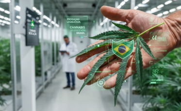 Cannabis medicinal: Anvisa estrutura produção e pesquisa; entenda