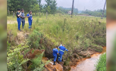 20 áreas mapeadas colocam SC no radar nacional das terras raras