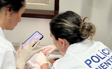 Documento já no nascimento: SC avança na emissão da Carteira de Identidade Nacional nas maternidades 