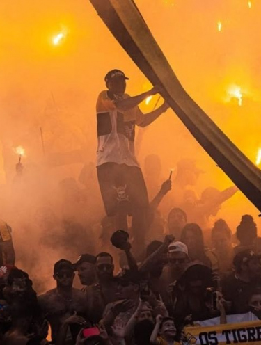 Mais de quatro mil torcedores do Criciúma ainda não cadastraram facial; saiba como vincular