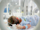 Anticorpo que reduz internações em até 80% começa a ser aplicado em bebês prematuros em Criciúma