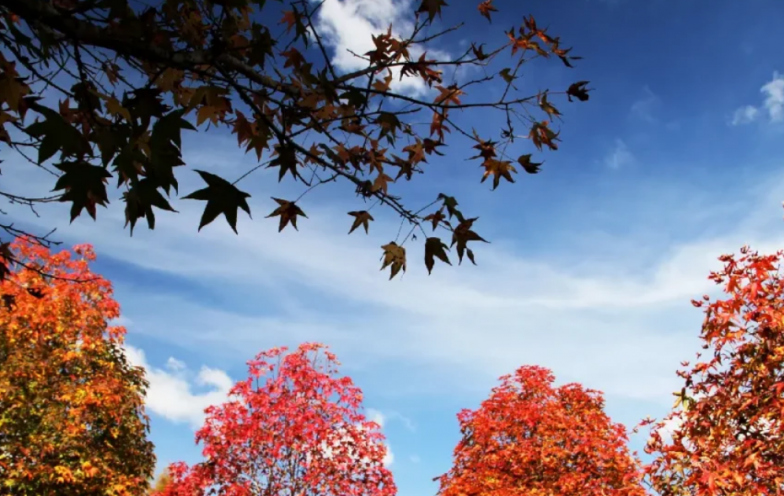 Outono batendo na porta! O que esperar do tempo em SC