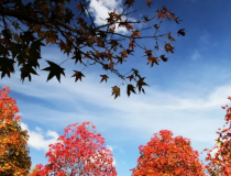 Outono batendo na porta! O que esperar do tempo em SC