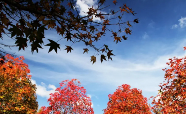Outono batendo na porta! O que esperar do tempo em SC