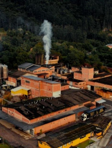 Nova linha zero amplia atuação da Baly no mercado de energéticos