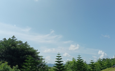 Calor de 36°C marca início da semana em Criciúma