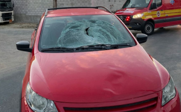 Idosa fica ferida em atropelamento na SC-370 em Tubarão