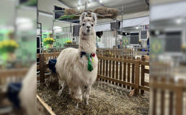 AgroPonte 2026 amplia experiência e ganha espaço dedicado à cultura do campo