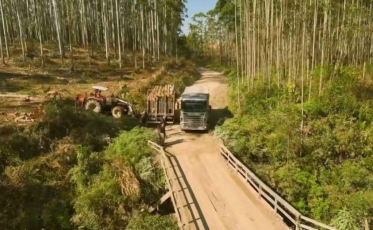 Rodovia dos Mineiros avança com abertura de licitação para obra de R$ 40 milhões