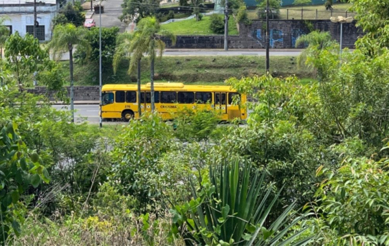 Transporte coletivo de Criciúma volta ao centro do debate nesta sexta
