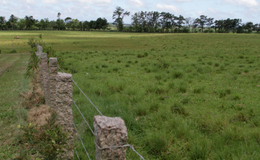 Içara projeta atração de empresas