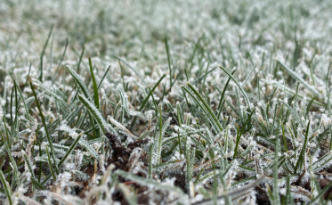 Criciúma amanhece gelada, mas temperaturas sobem à tarde