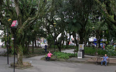 Cachorros estão sumindo das praças de Criciúma 