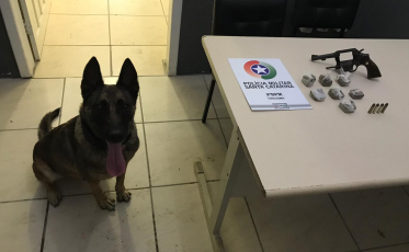 Drogas e arma encontrada em condomínio