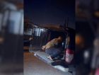  Impressão digital deixada em casa leva à prisão de suspeito meses após furto em SC