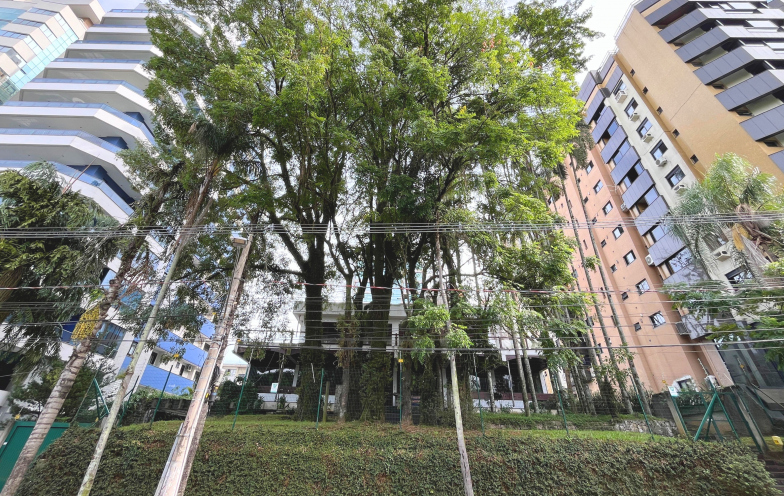 Leilão da mansão de Jarvis Gaidzinski começa com expectativa de lances acima de R$ 30 milhões