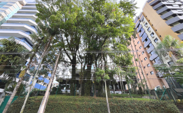 Começam os lances pela mansão de R$ 25 milhões que pode dar lugar a megaprédio em SC