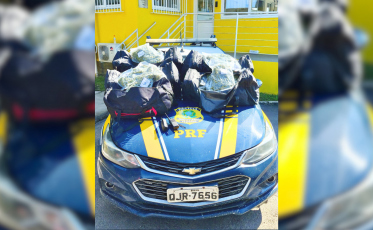 Cheiro de droga entrega motorista e PRF apreende 24 quilos de skunk na BR-101