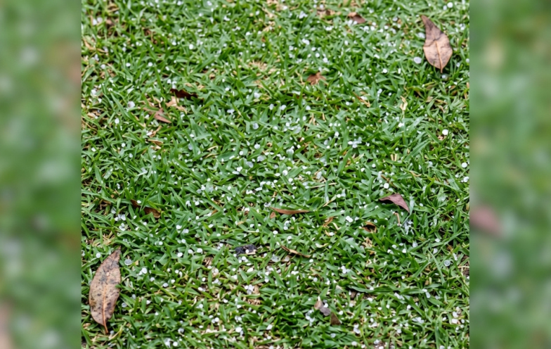 [Vídeo] Chuva de granizo atinge Siderópolis e surpreende moradores do Rio Jordão Médio