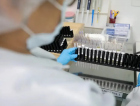Vacina 100% brasileira contra a malária avança e terá primeiros testes em humanos